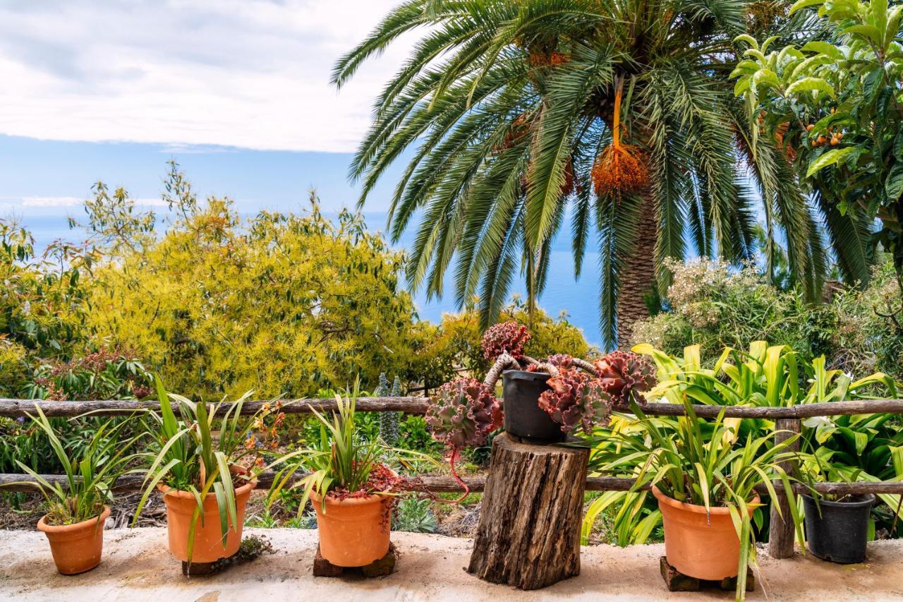 El Palmeral Tinizara Extérieur photo